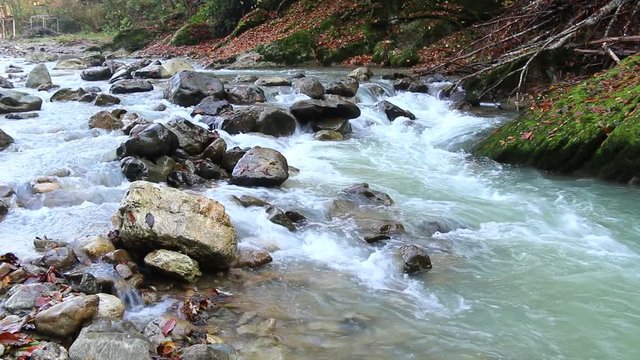 The flow of water in the rapids of Khosta River with wet boulders and shore strewn with dry leaves
