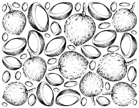 Hand Drawn Wallpaper Background of Bacuri Fruits