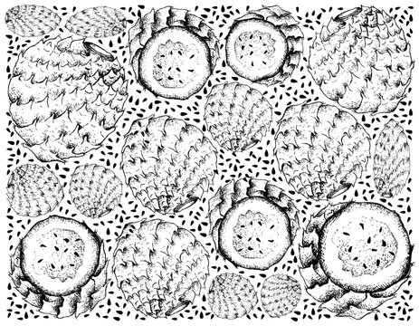 Hand Drawn Background of Copao Cactus Fruits