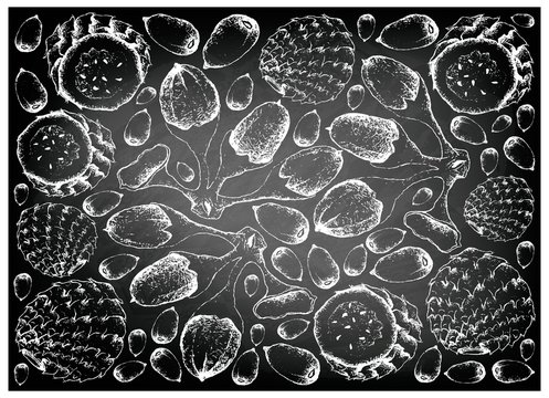 Hand Drawn Background of Buah Dabai and Copao Cactus Fruits