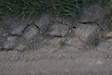 withered dry land ground