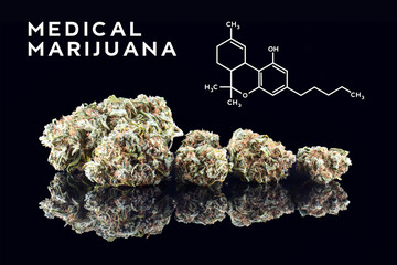 Medical marijuana design concept for cover. Bud isolated on black background. Therapeutic and medicinal cannabis weed with formula