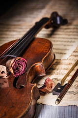 Dried rose over an old violin