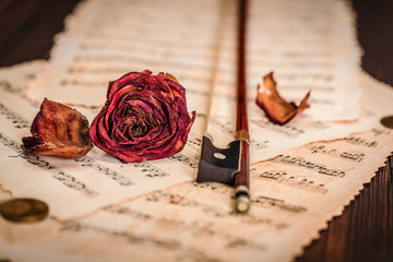 Dried rose over an old musical score
