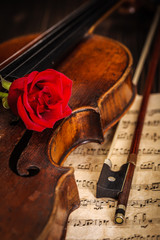 Old violin and bow with red rose