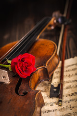 Old violin and bow with red rose