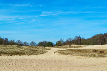 Fototapeta na wymiar Sandy dunes against blue sky