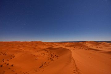 Fototapeta na wymiar Stars at night over the dunes, Sahara Desert, Morocco
