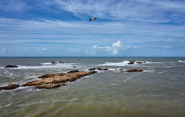 Rock off the coast of Essaouira