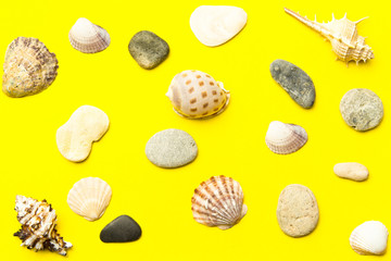 Exotic sea shells on yellow color paper texture background. The view from the top. Copy space