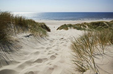 Weg zum Strand durch Dünen, Dänemark