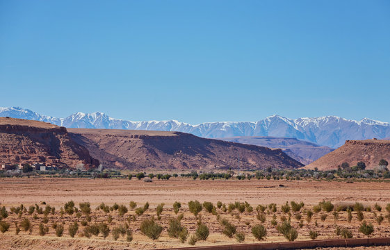 Morocco, High Atlas Landscape. Valley near Marrakech on the road to Ouarzazate.Spingtime, sunny day.