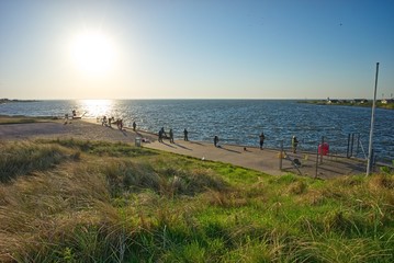 Obraz premium Angeln in Dänemark, Ringkøbing Fjord, Hvide Sande