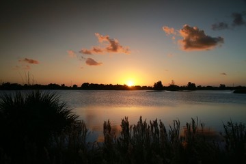 Golden Yellow Sunset on the Lake at Quiet Waters Park, Deerfield Beach, Florida with Foliage Below and a few Orange Scattered Clouds Above