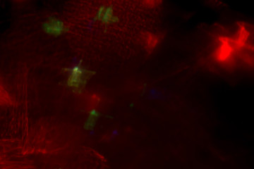 Abstract mystical and fantastic background