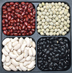 Beans collection as the background in bowl