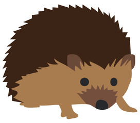 Vector Cute Hedgehog