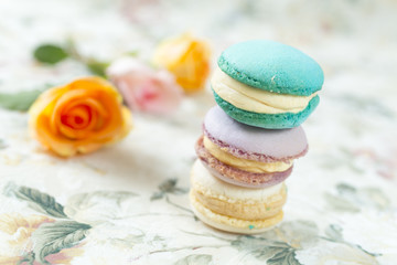 French cake macaron or macaroon. Colorful cookies made from almond flour in pastel colors