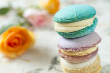 French cake macaron or macaroon. Colorful cookies made from almond flour in pastel colors
