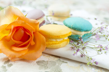 Fototapeta na wymiar French cake macaron or macaroon. Colorful cookies made from almond flour in pastel colors