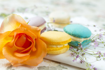 Fototapeta na wymiar French cake macaron or macaroon. Colorful cookies made from almond flour in pastel colors