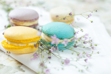 French cake macaron or macaroon. Colorful cookies made from almond flour in pastel colors