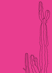 cactus illustration