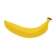 Single vector Banana with flat and solid color design.