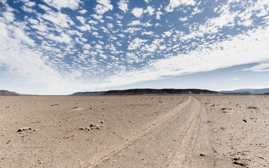 Old Patagonian Camel Track 