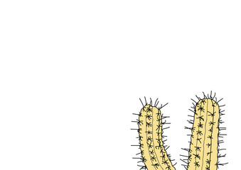 cactus illustration