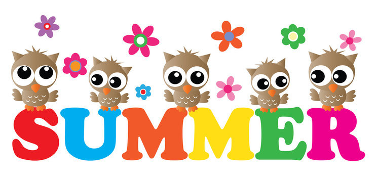 summer header with cute owls