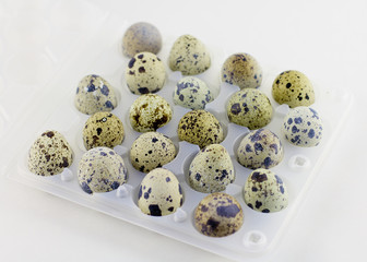 Quail eggs in transparent tray,plastic box for sale to client for cook at home, good idea for breakfast and healthy, symbol for easter season in april. tiny size and nature pattern.on white background