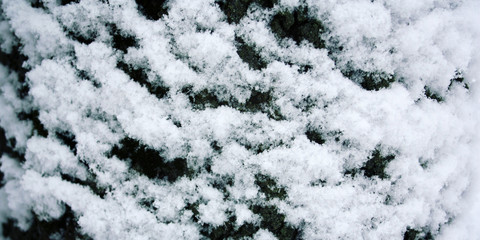 Tree trunk covered with snow. Fluffy snowflakes on the roof. Natural background. Cold winter day. Close up. Winter in Russia. Wide photo.