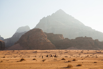 Fototapeta na wymiar Camel caravan in Wadi Rum Desert, Jordan.