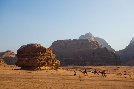 Camel caravan in Wadi Rum Desert, Jordan.