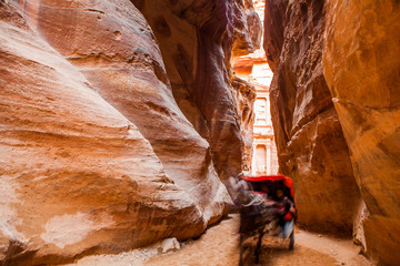 Horse cart in the end of The Siq in Petra Ancient City, Jordan. © Oleg Podzorov