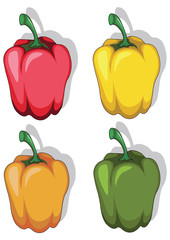 Orange, Yellow, Green, Red Paprika, Bell Pepper.Vector Illustration