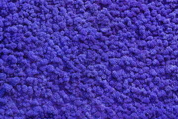 blue background of artificial cloth