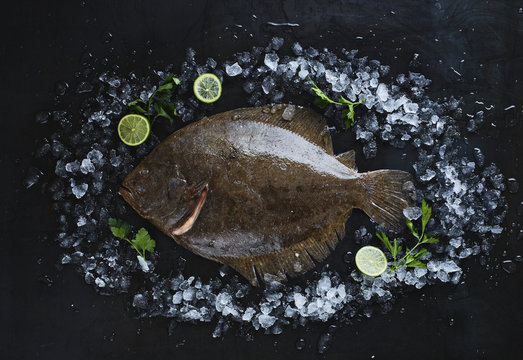 Close up of turbot fish on ice 