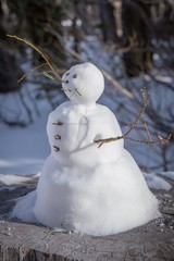 Mini Snowman
