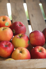 pomme