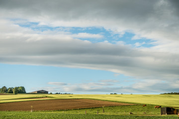 Fototapeta na wymiar Agrarlandschaft