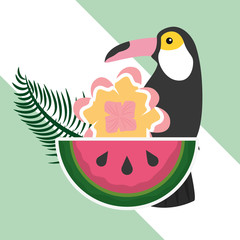 summer time tropical toucan watermelon and flower vector illustration