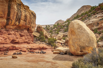 Woman Hiker in Cohab Canyon, Capitol Reef National Park. A woman hikes a trail  revealing broken,...