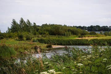 Fototapeta na wymiar Zoetermeer-Bentwoud, Netherlands