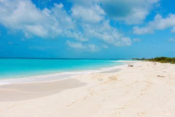 Fototapeta premium Caribbean beach and sea