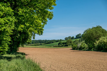 Ackerbau im Frühjahr