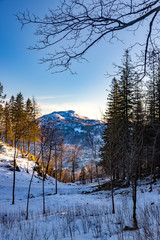 winter mountain landscape