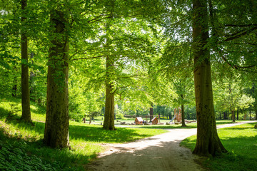 Spielplatz für Kinder in einer grünen Parkanlage mit vielen Bäumen