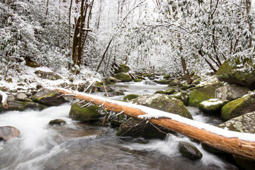 winter stream